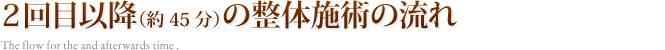 ２回目以降（約45分）の整体施術の流れ