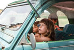 image_t355.jpg