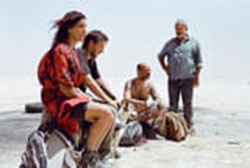image_t371.jpg